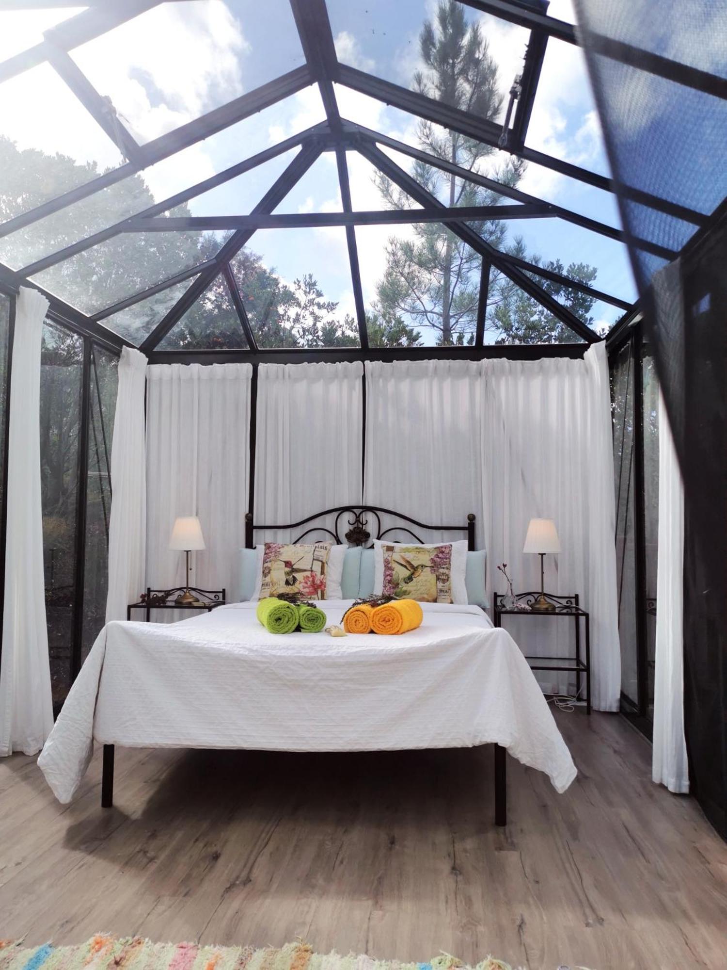 Romantic Skyview Glasshouses Rogil Extérieur photo